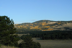 photo of view from dining room