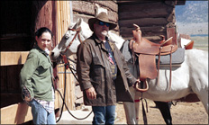 photo of horses at barn