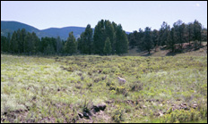 photo of view of mountains